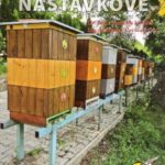 Včelí produkty mýtů zbavené Knihy Knihy