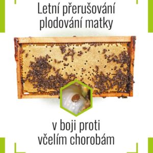 Letní přerušování plodování matky v boji proti včelím chorobám Knihy Knihy