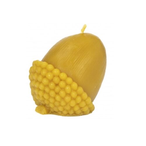 Žaluď Jeseň Jeseň